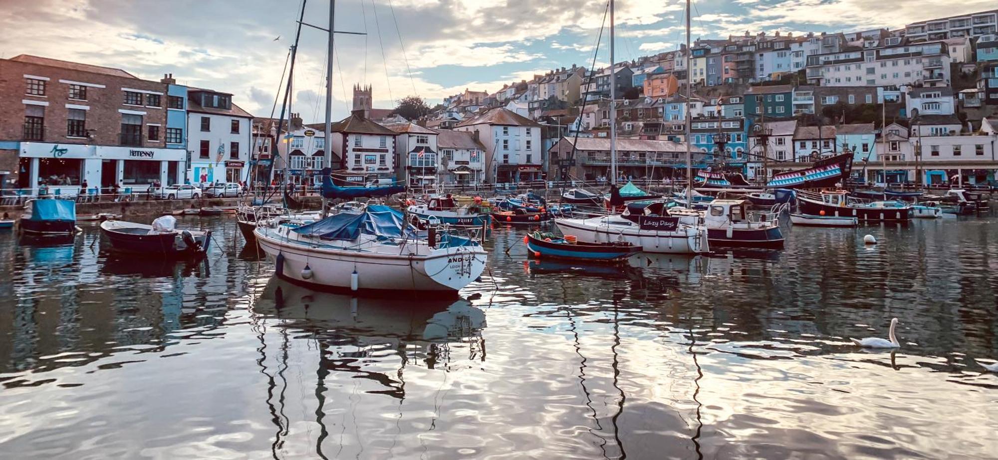 Driftwood B&B Brixham Exteriör bild