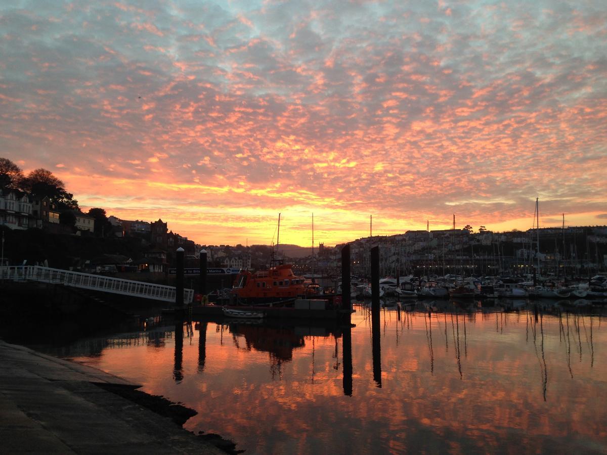 Driftwood B&B Brixham Exteriör bild